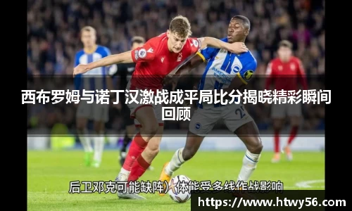 西布罗姆与诺丁汉激战成平局比分揭晓精彩瞬间回顾
