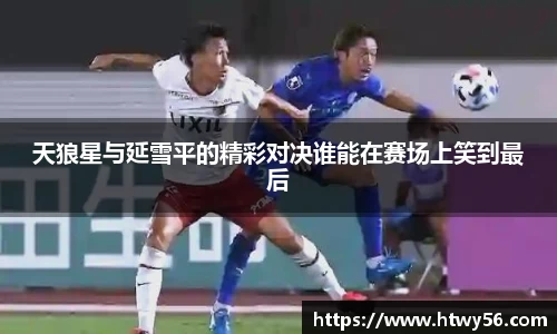 星空.综合体育官网